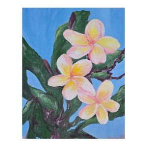 Frangipani